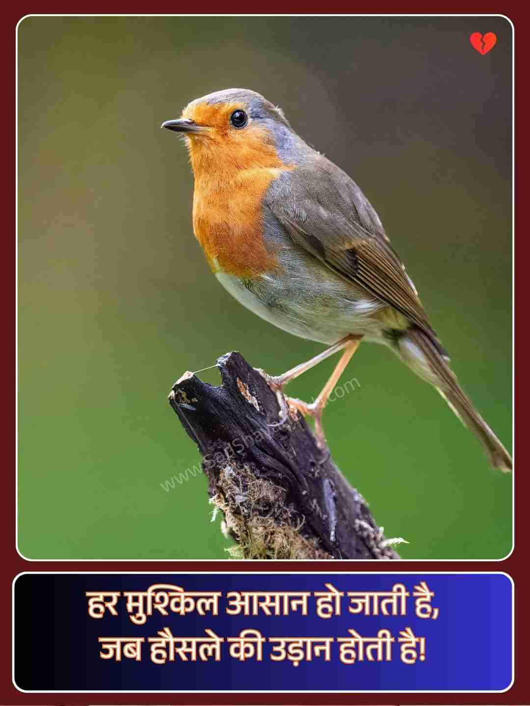 Motivational Shayari_2