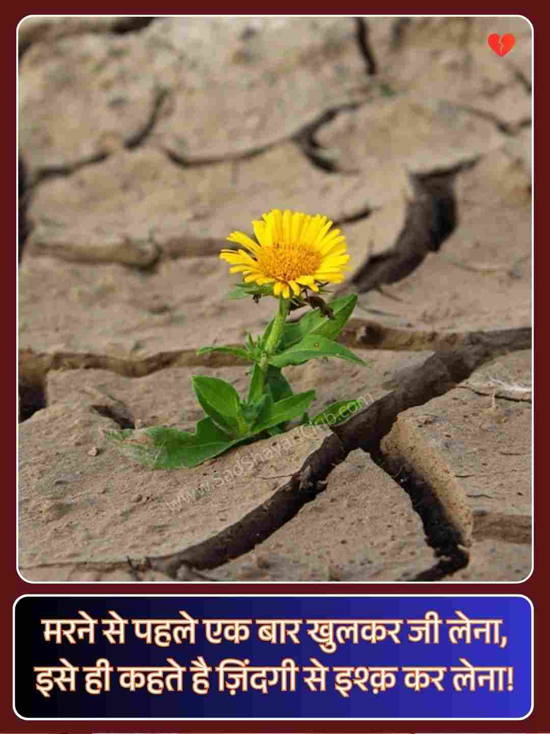 Zindagi Par Shayari_2