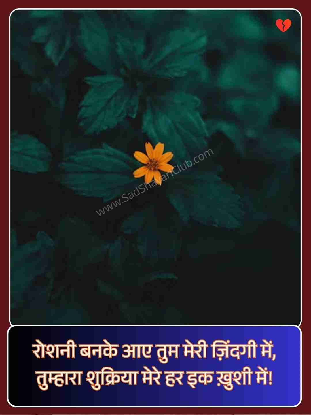 Instagram Post Shayari​_2