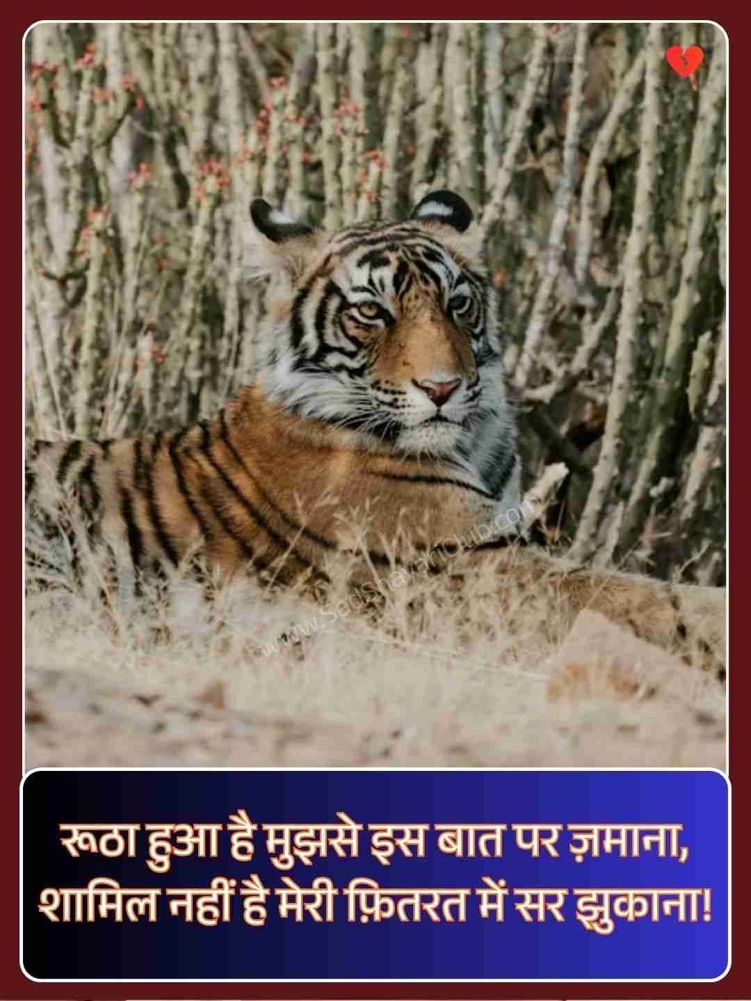 Instagram Shayari​_1