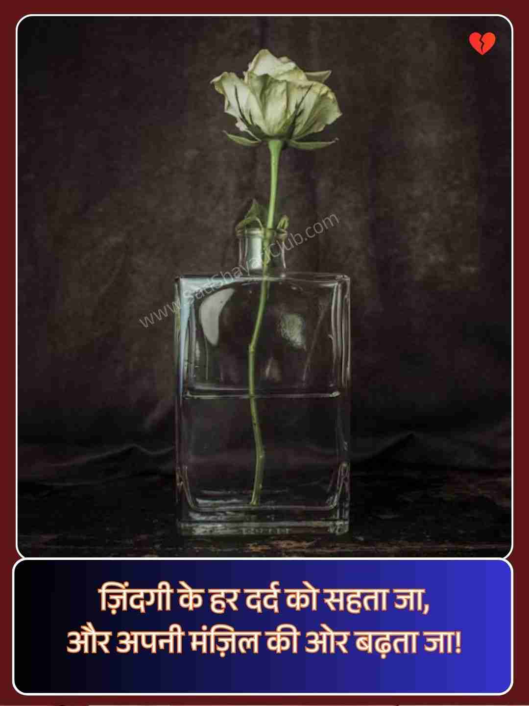 Zindagi Ki Shayari​_1